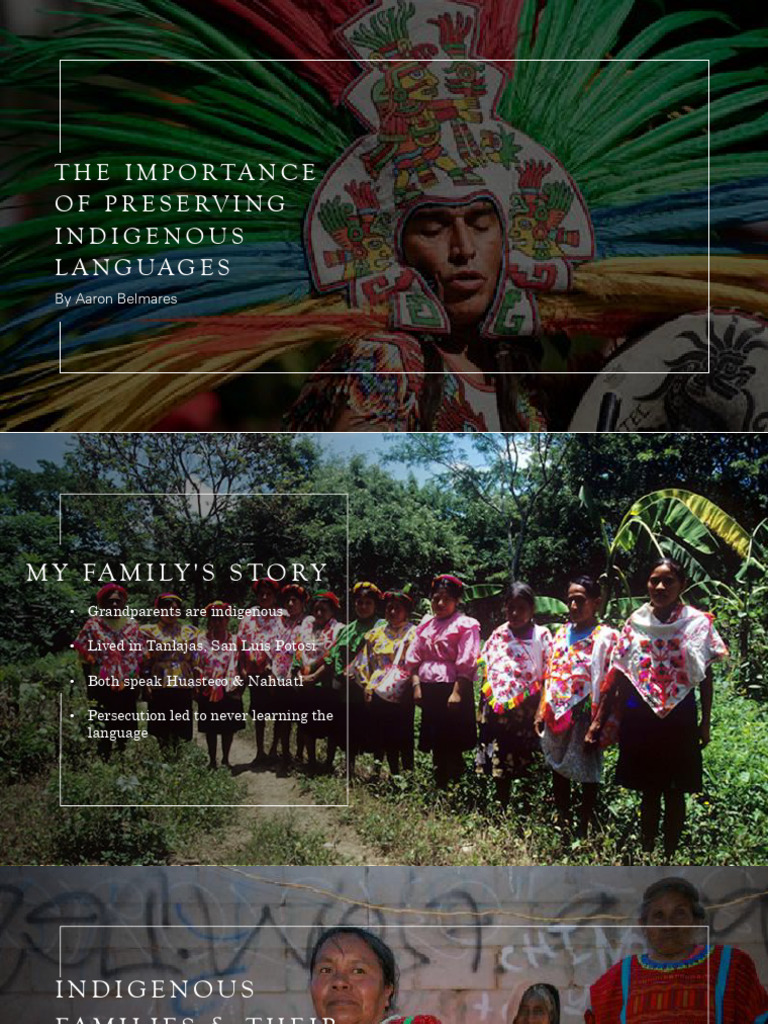 The Importance of Preserving Indigenous Languages | PDF | Cultural ...