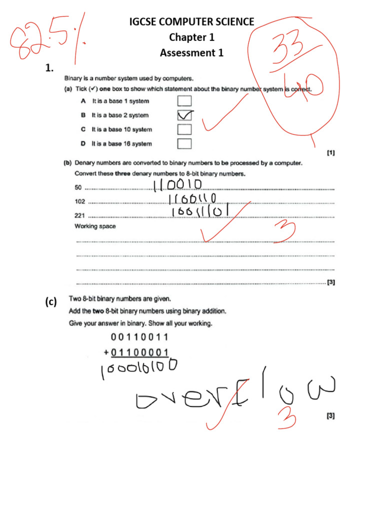 IGCSE COMPUTER SCIENCE Chpater 1 TEST 1 | PDF