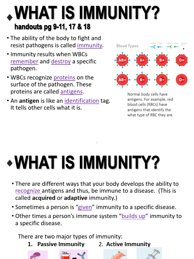 Understanding Immunity: Active vs. Passive | PDF | Vaccines | Immune System
