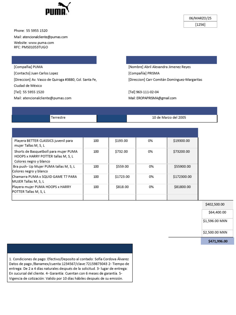 Orden de Compra PUMA - Marzo 2025 | PDF