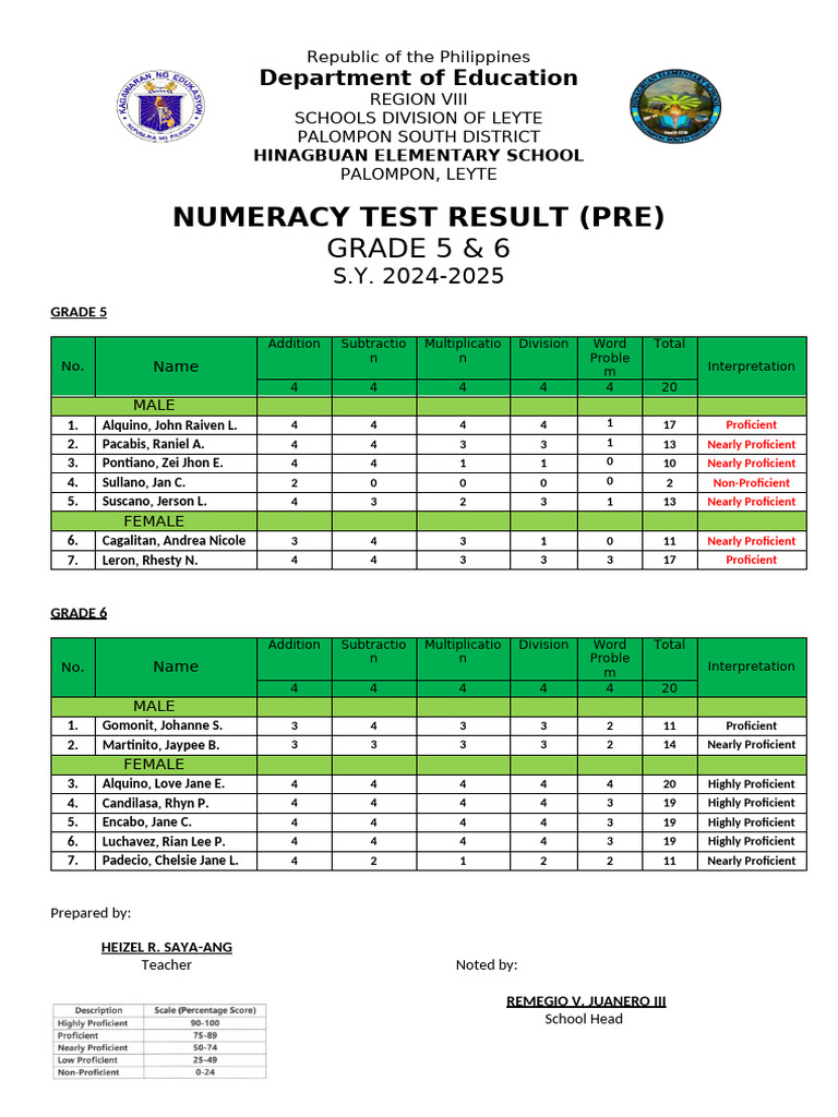2025 Numeracy Test Results Summary | PDF