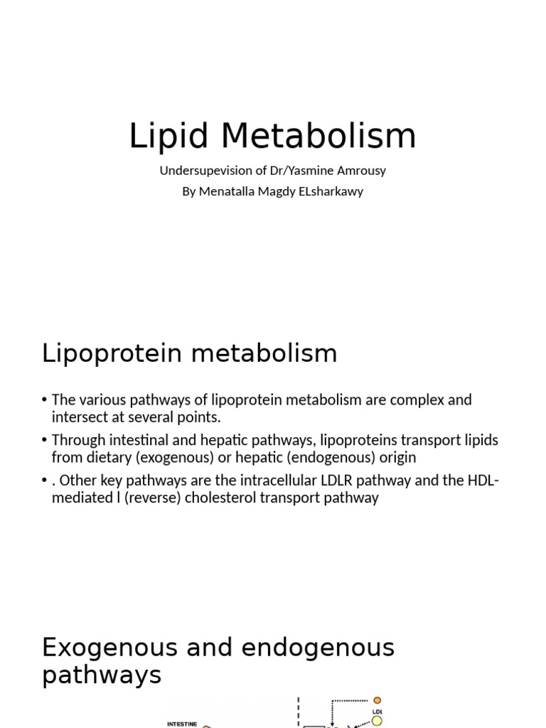 Understanding Lipoprotein Metabolism | PDF | Lipoprotein | Cholesterol