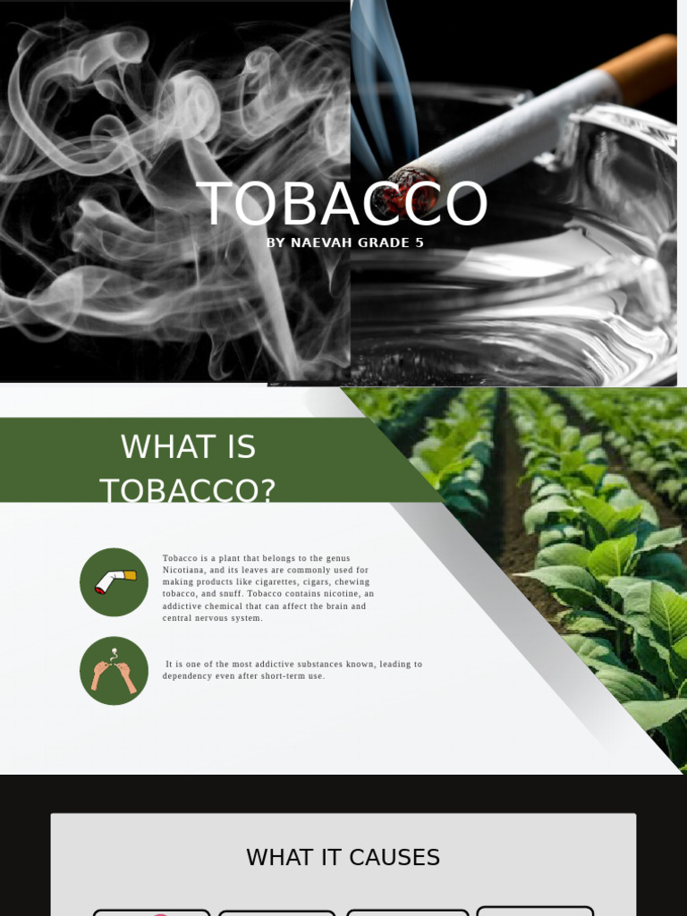 Understanding Tobacco and Its Risks | PDF | Tobacco | Habits