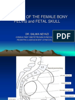Anatomy of the Female Bony Pelvis and Fetal