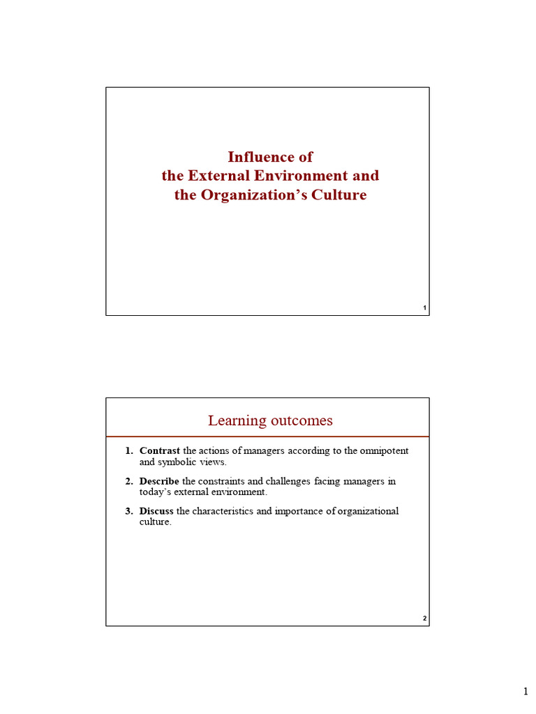 MGMT-03-Influence of The External Environment and The Organization's ...