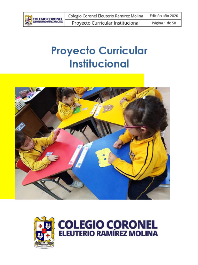 Proyecto Curricular Colegio Eleuterio 2020 | PDF | Plan de estudios ...