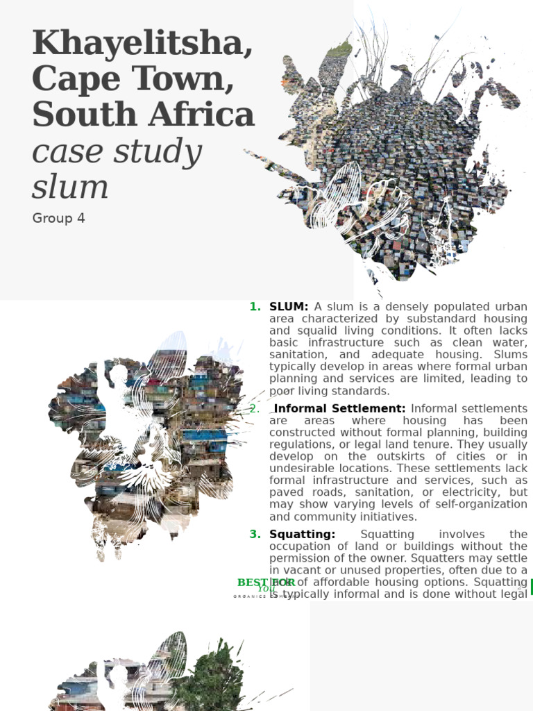Challenges in Khayelitsha Slum | PDF | Slum | Poverty