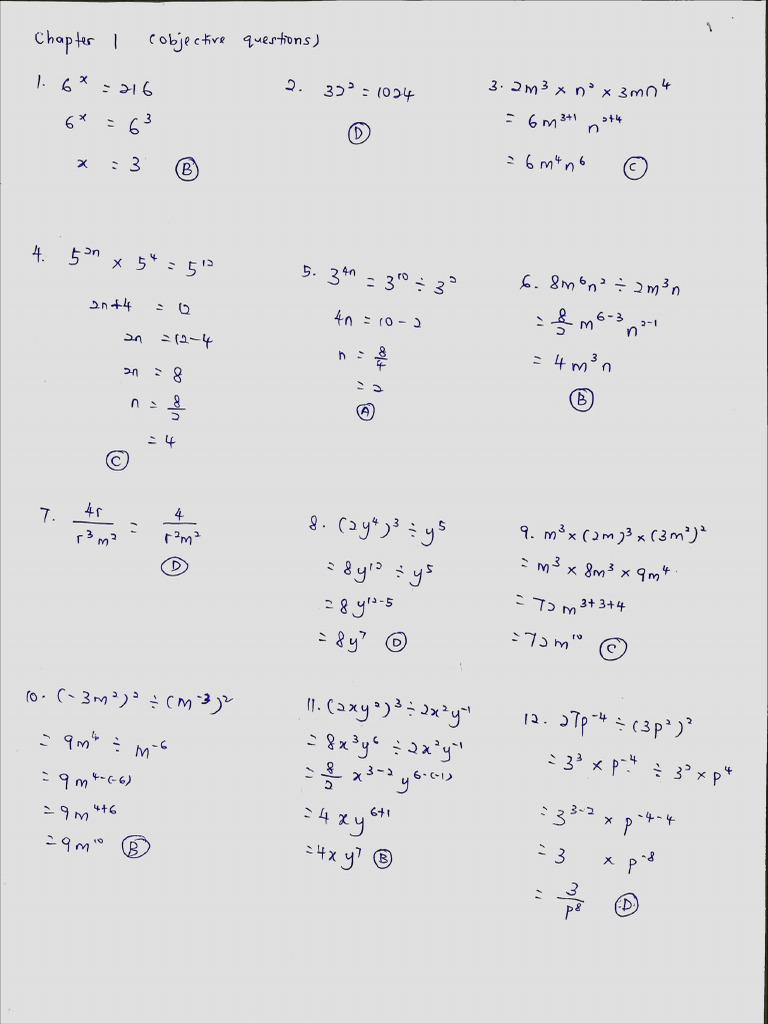 Chapter 1 Answer | PDF