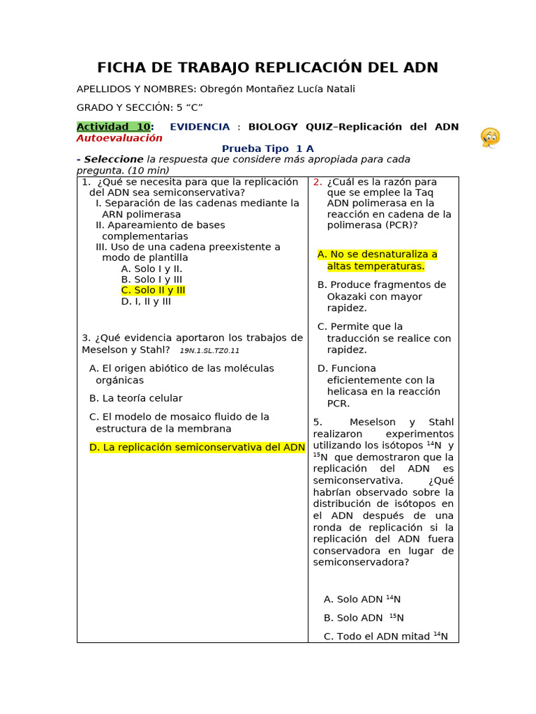 Hoja De Trabajo Sobre La Actividad De Replicación Del Adn Elabora Un