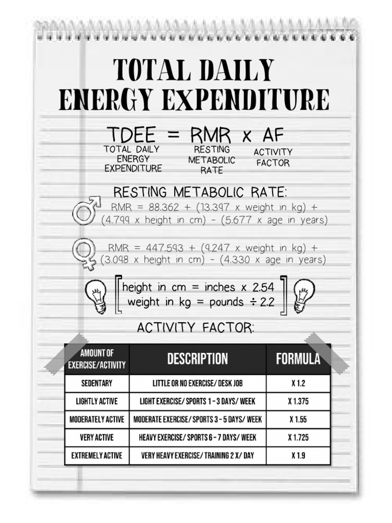 TDEE and RMR Calculation Guide | PDF