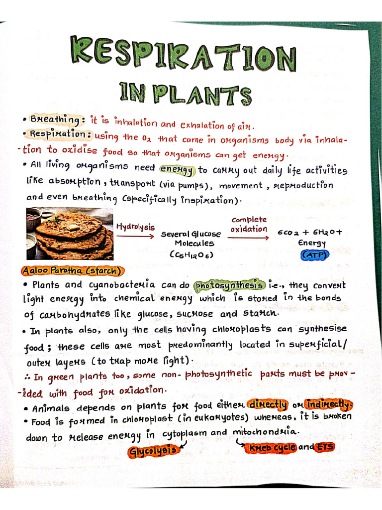 Botany Med Easy Full Pdf Teamkohinoor Pdf
