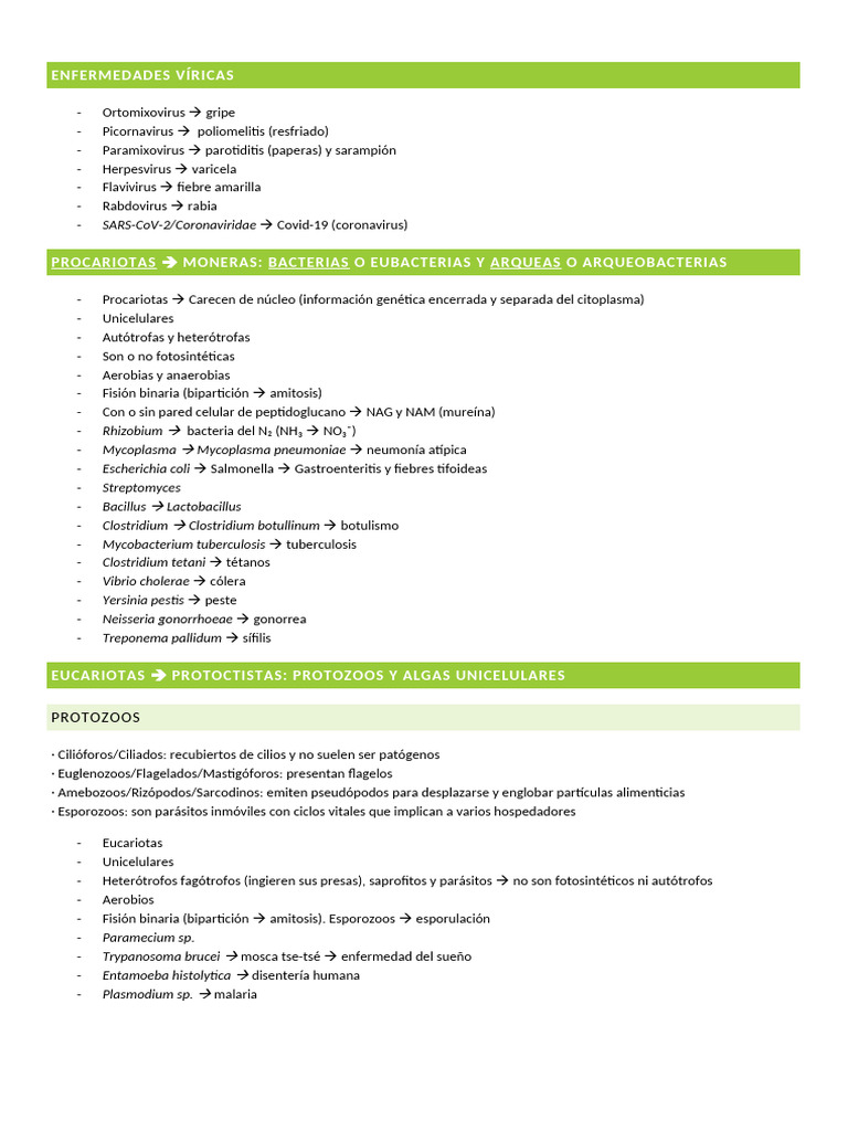Clasificación de Virus, Bacterias y Eucariotas | PDF | Las bacterias ...