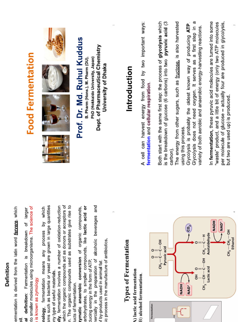 Fermentation | PDF
