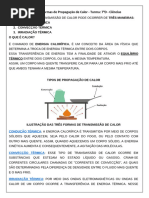 Tipos de Propagação do Calor e Exercícios | PDF | Calor | Transferência ...