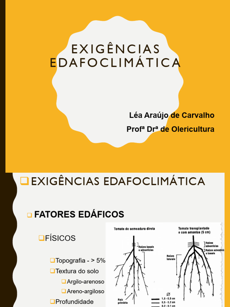 Exigências Edafoclimáticas em Hortaliças | PDF | Batata | Raiz