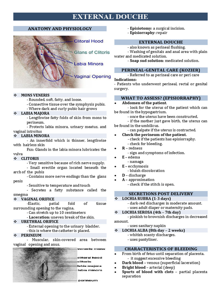 Inbound 6517762348253107072 | PDF | Labia | Sexual Anatomy