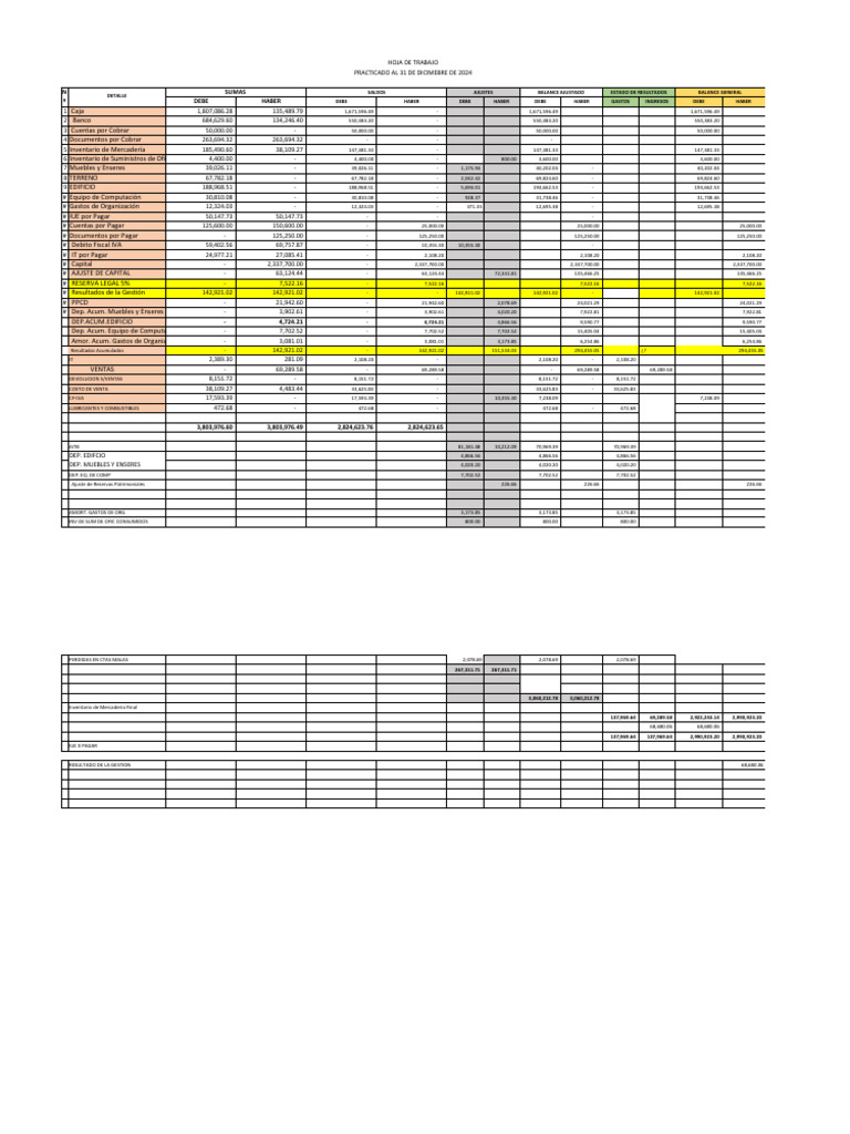 Balance General y Estado de Resultados 2024 | PDF | Economias | Business