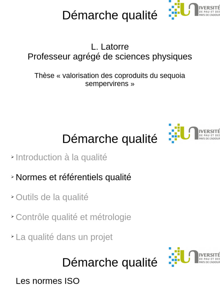 Démarche qualité et normes ISO expliquées | PDF | Management de la ...