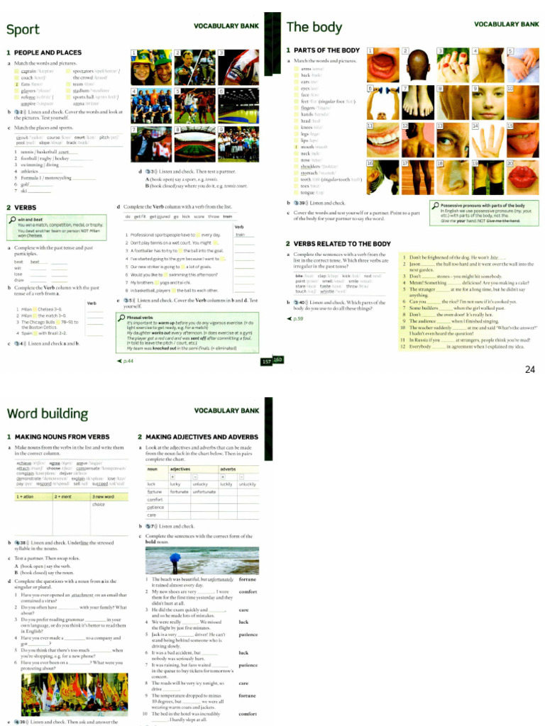 Sports Vocabulary and Body Parts Guide | PDF | Adverb | Adjective