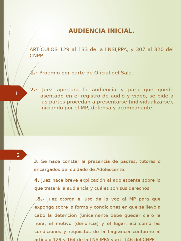 Proceso de Audiencia para Adolescentes | PDF | Mandato | Justicia