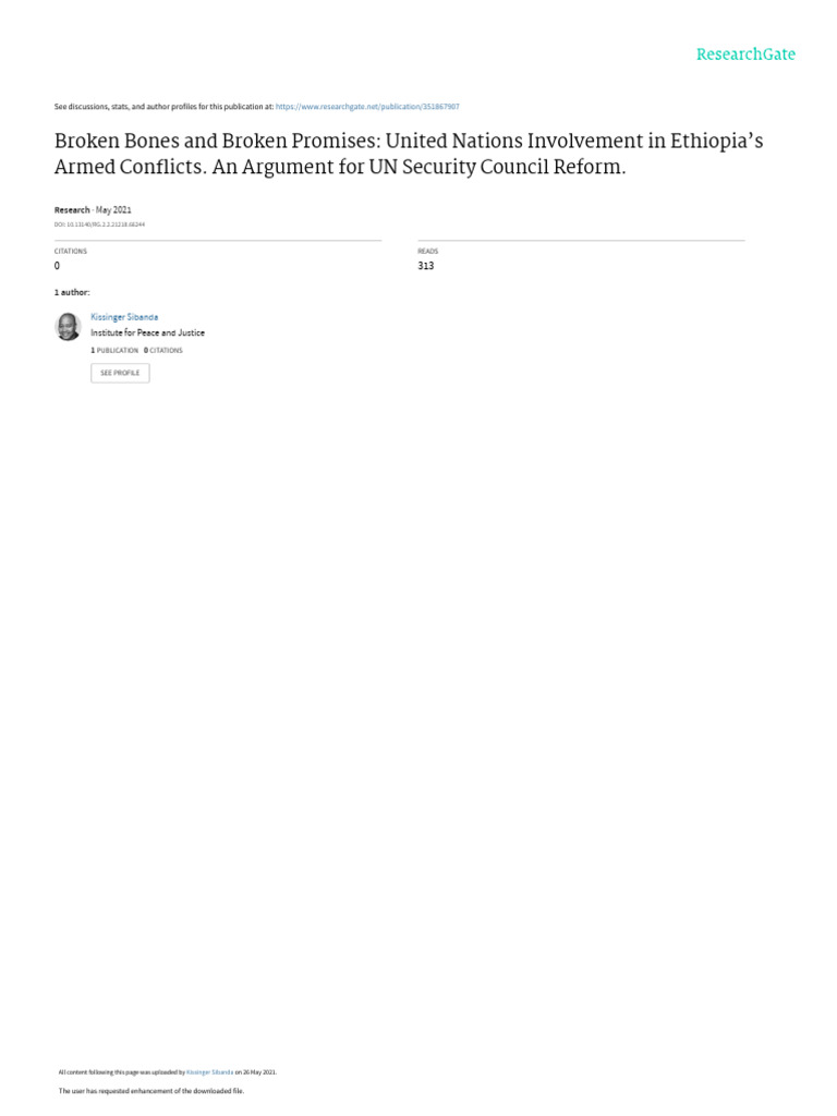 UN's Role in Ethiopia's Conflicts: Reform Needed | PDF | Responsibility ...
