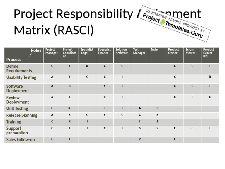 Template Project RASCI Matrix - Example | PDF | Systems Engineering ...
