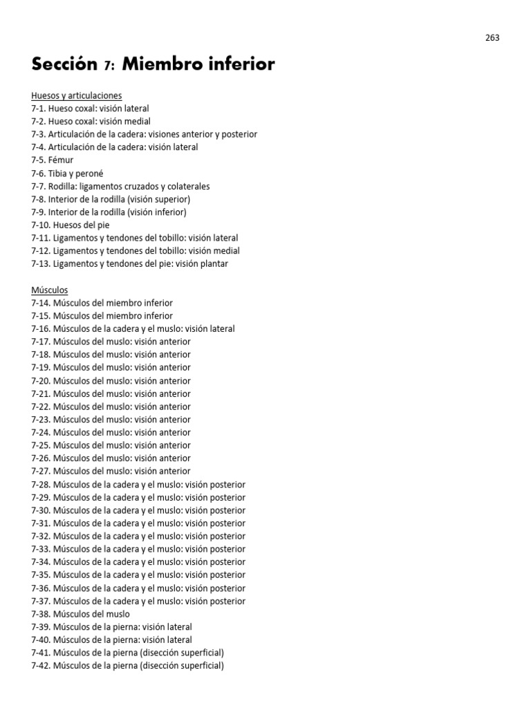Anatomía del Miembro Inferior Netter | PDF | Rodilla | Pie