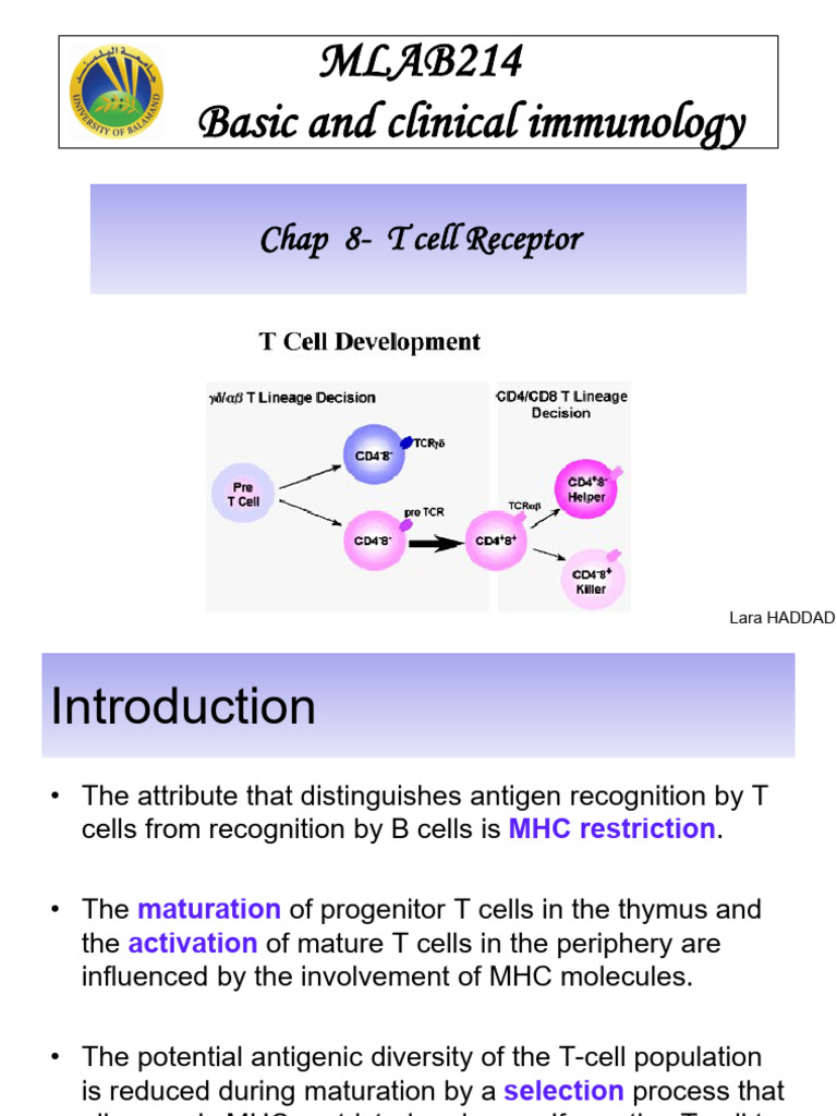 T Cell Receptor: Structure and Function | PDF | T Cell | Major ...