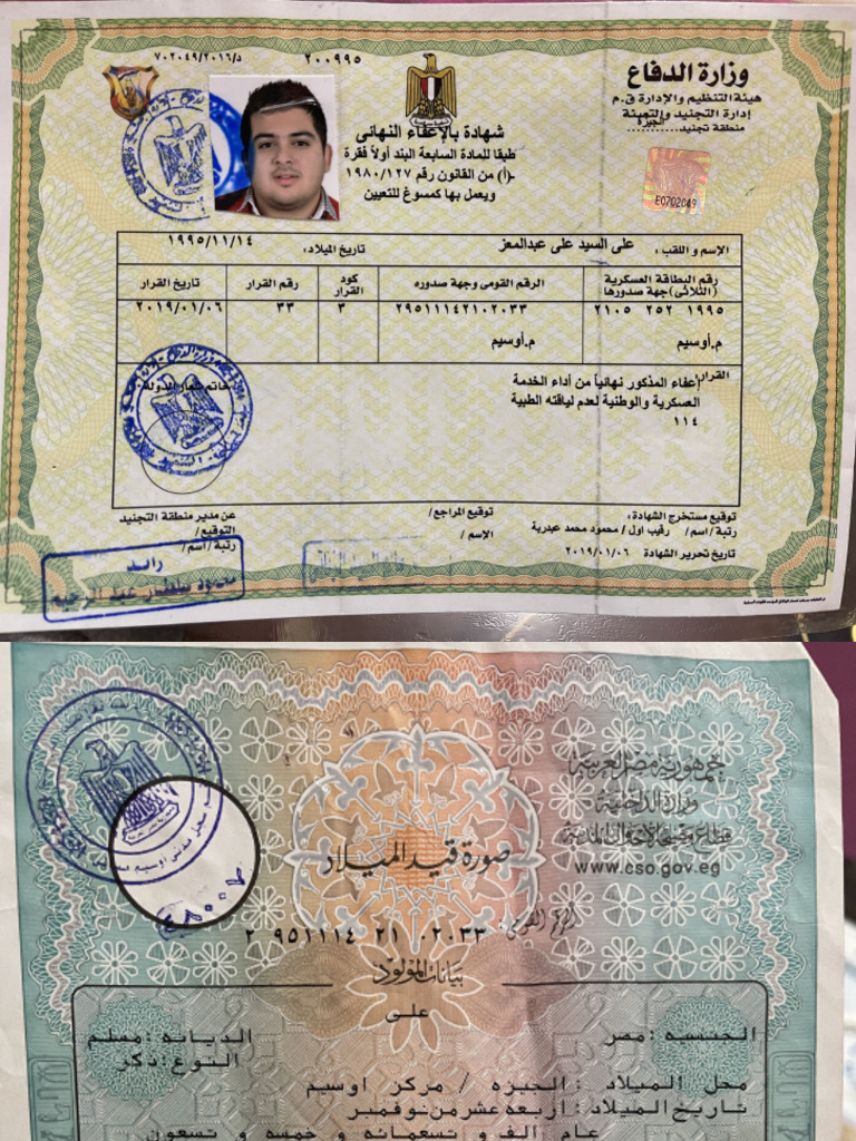 Ali | PDF