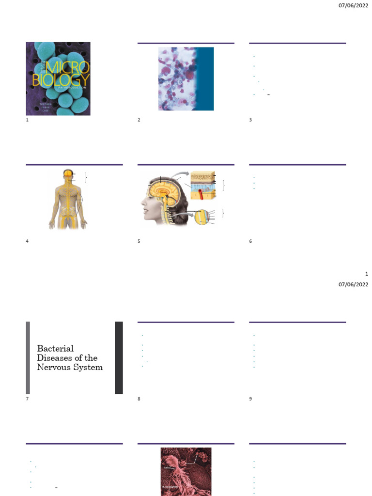 02 - Microbial Diseases of The Nervous System | PDF | Rabies | Meningitis