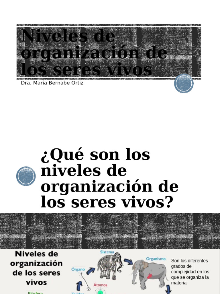 Niveles de organización en seres vivos | PDF | Lípido | Biología Celular)