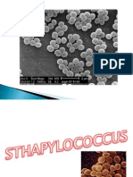 Staphylococcus