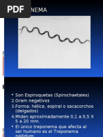 Download Treponema by HarimTorres SN8486414 doc pdf