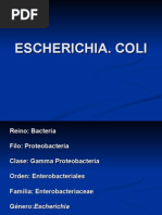 Download Escherichia by HarimTorres SN8486420 doc pdf