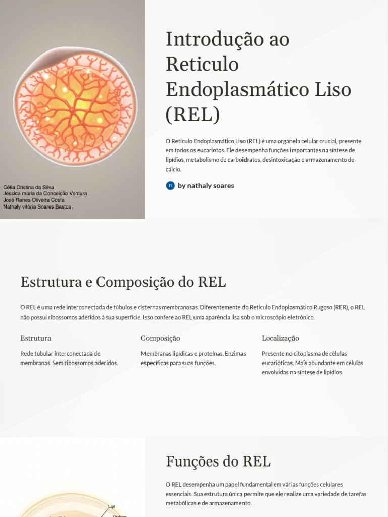 Funções e Estrutura do Retículo Endoplasmático Liso | PDF | Retículo ...