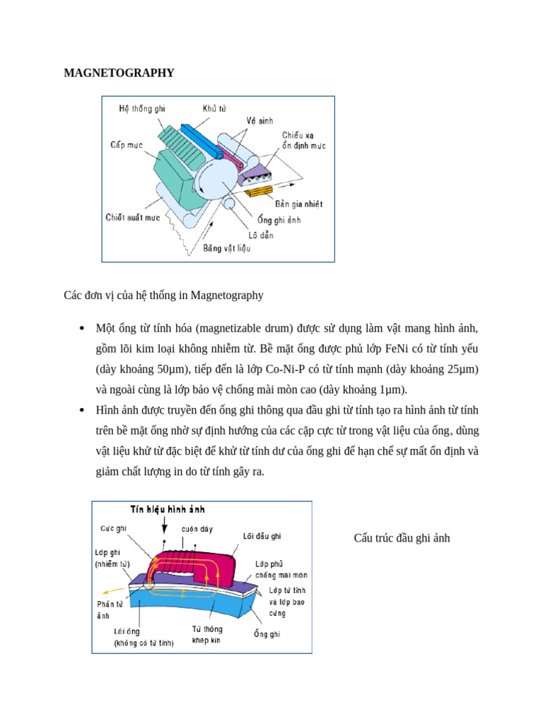 MAGNETOGRAPHY | PDF