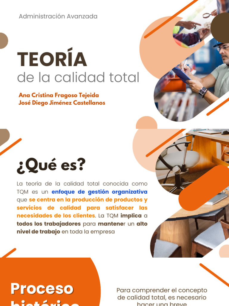 Teoría de la calidad total | PDF | Calidad (comercial) | Producto (Negocio)