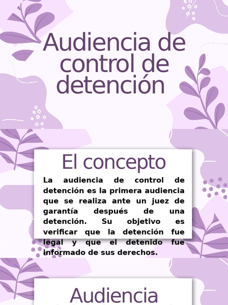 Audiencia de Control de Detención: Proceso y Derechos | PDF | Mandato ...