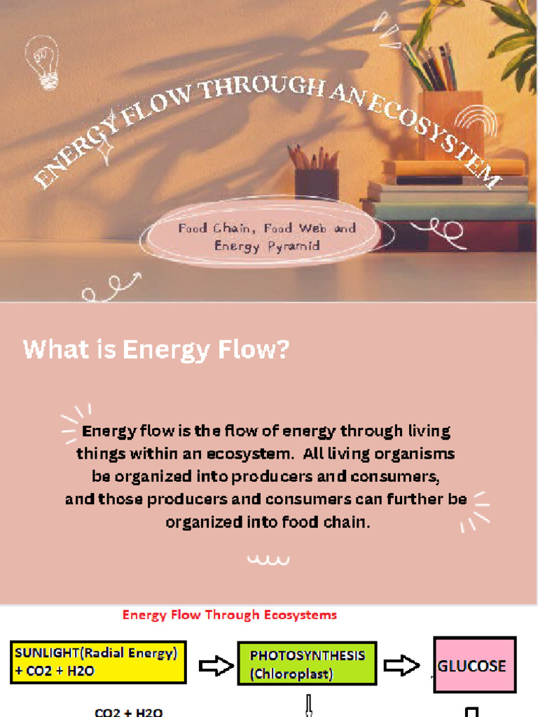 Einstein Presentation Integ | PDF