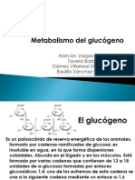 Metabolismo Del Glucógeno