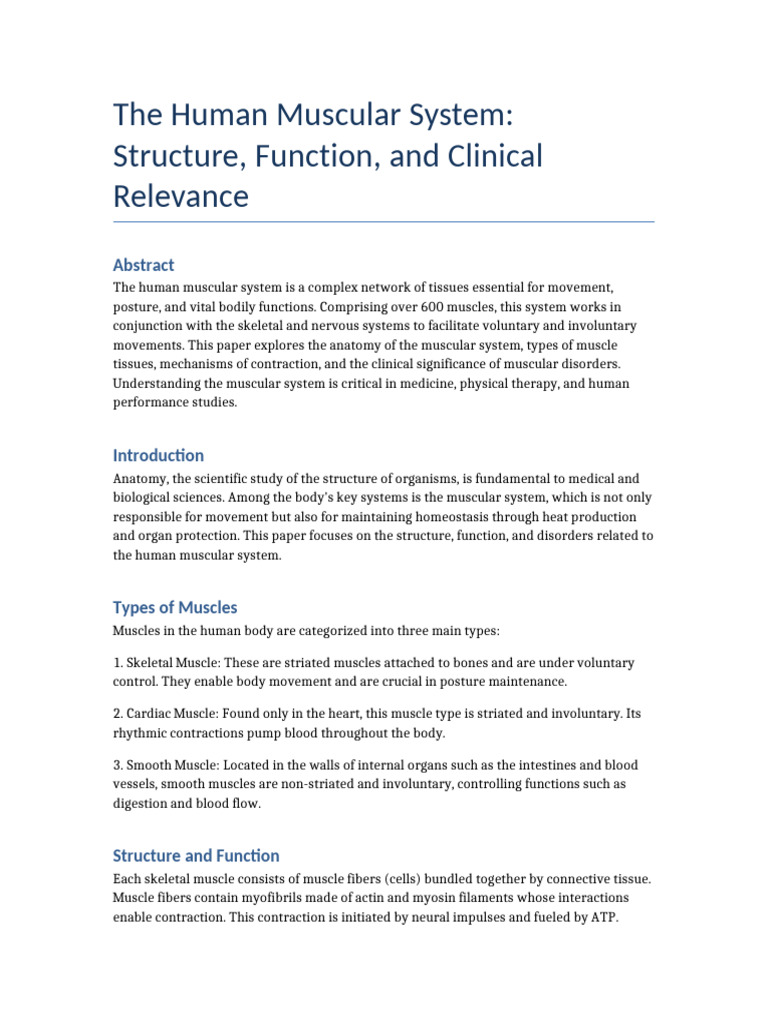 Human Muscular System Overview | PDF | Skeletal Muscle | Muscle Contraction