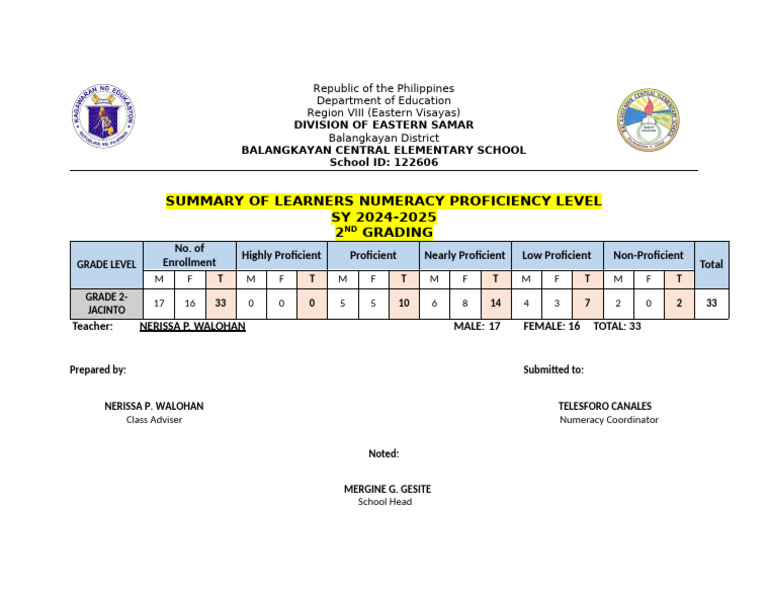 Learners' Numeracy Proficiency Summary | PDF