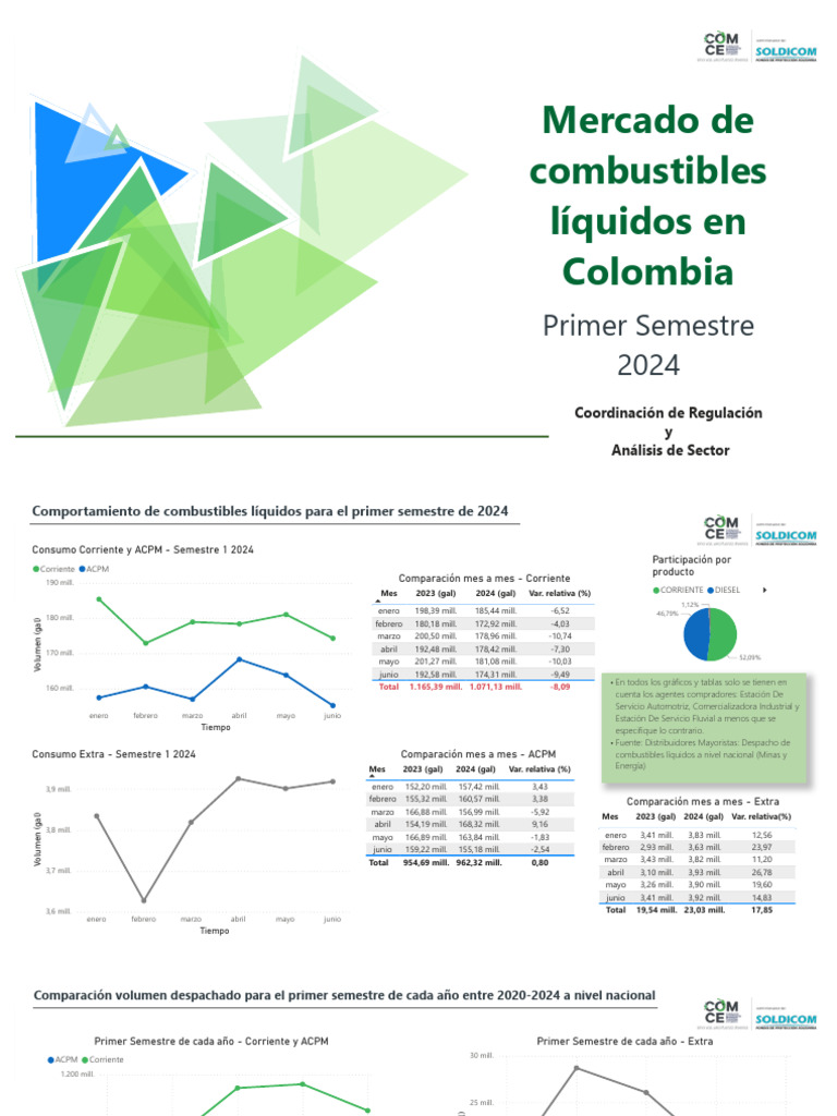 Informe_Semestral_1_2024 | PDF | Fuentes de energia quimica ...