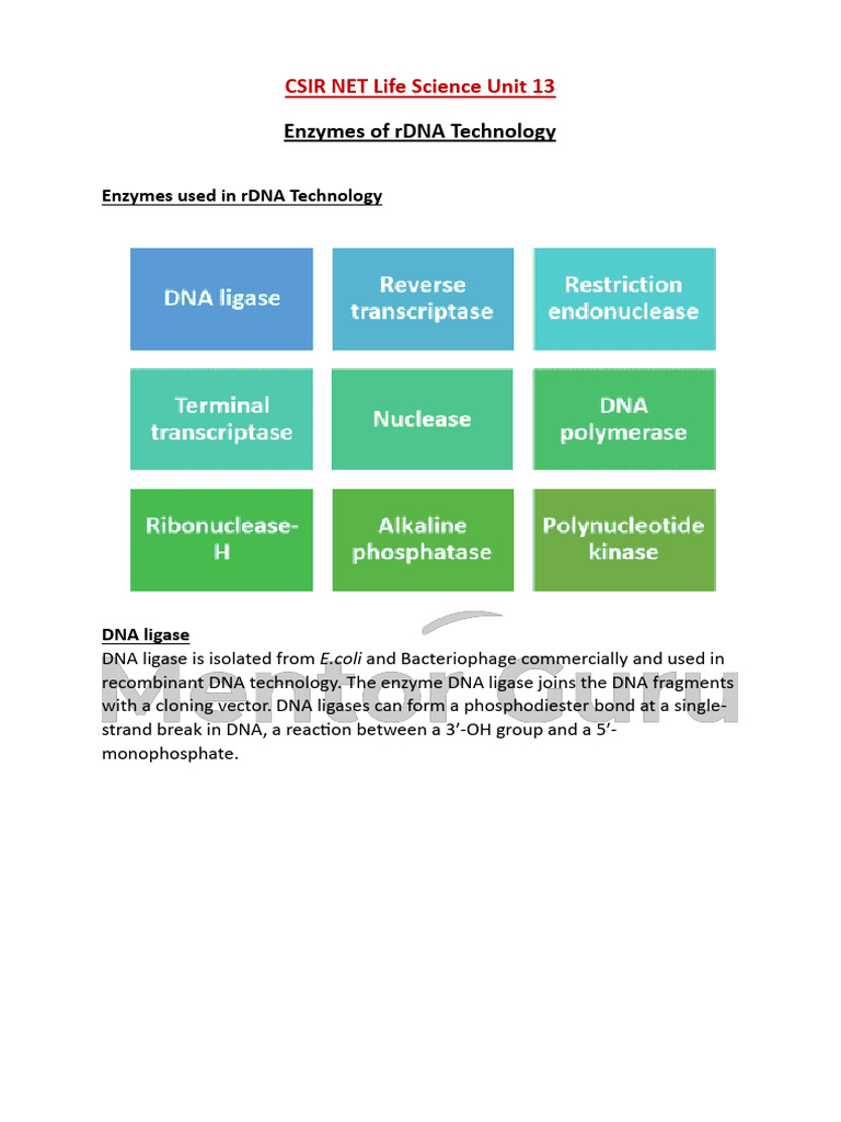 Enzymes in Recombinant DNA Technology | PDF | Dna | Restriction Enzyme