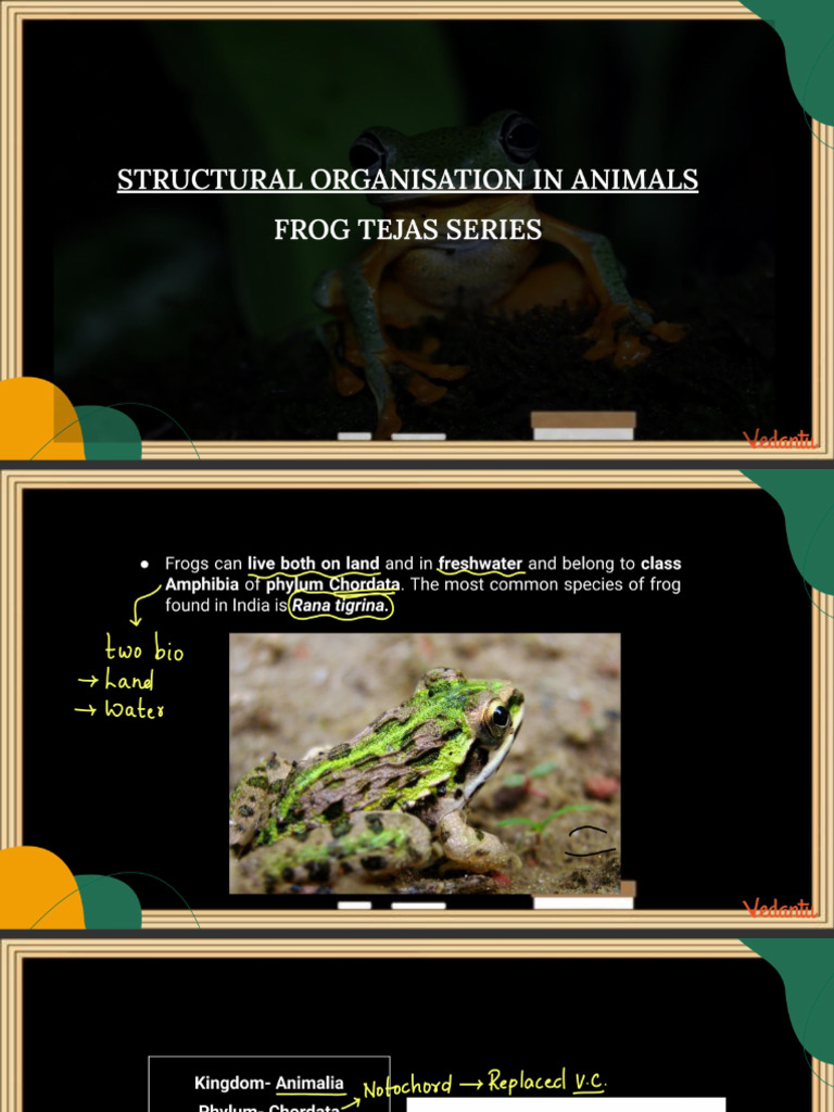 Frog Lec Notes - GZM Tejas Series | PDF
