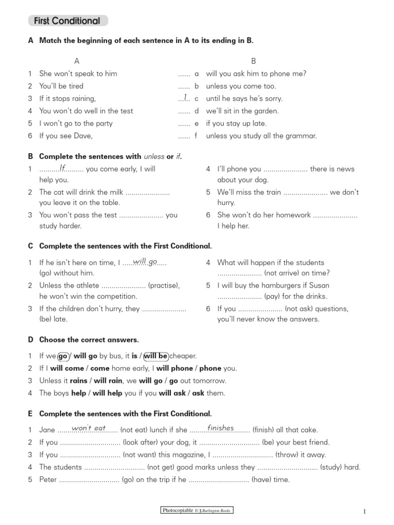 First Conditional Grammar Exercises | PDF | Business