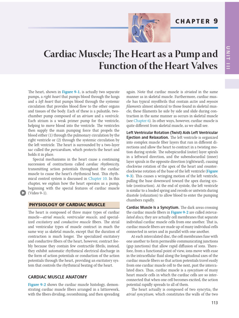 Cardiac Muscle - Rhytmical Excitation of The Heart | PDF | Diastole ...