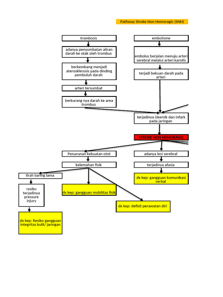 Penanganan Stroke Non Hemoragik | PDF