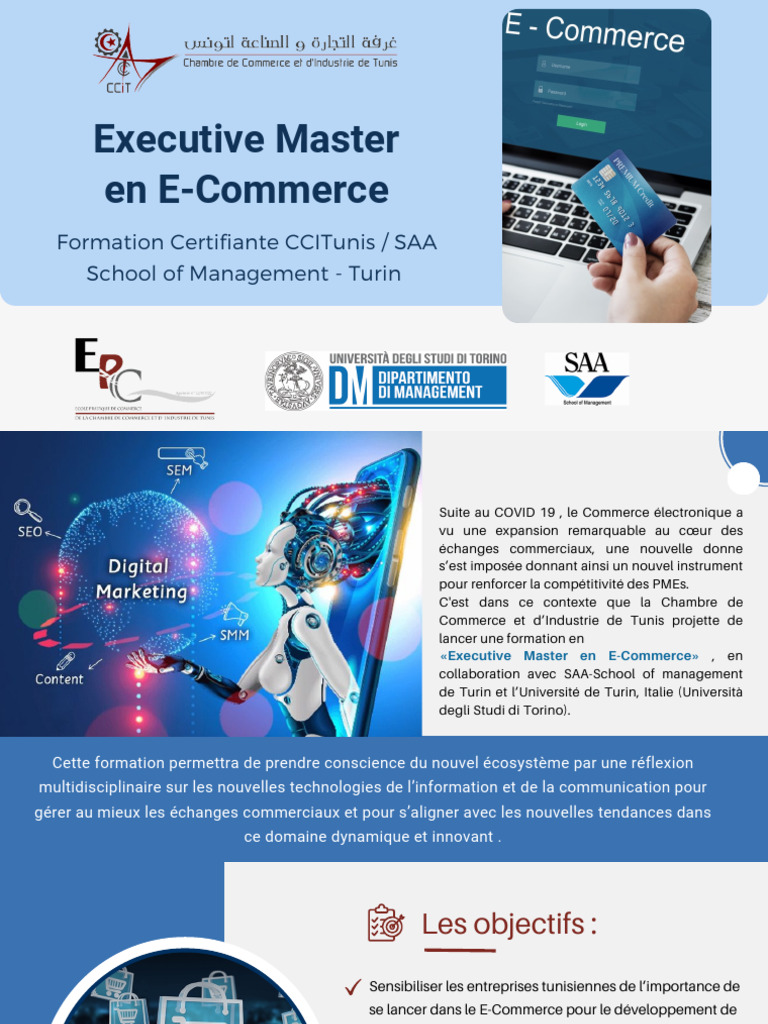 Master E-Commerce : Stratégies en Tunisie | PDF | Commerce électronique ...
