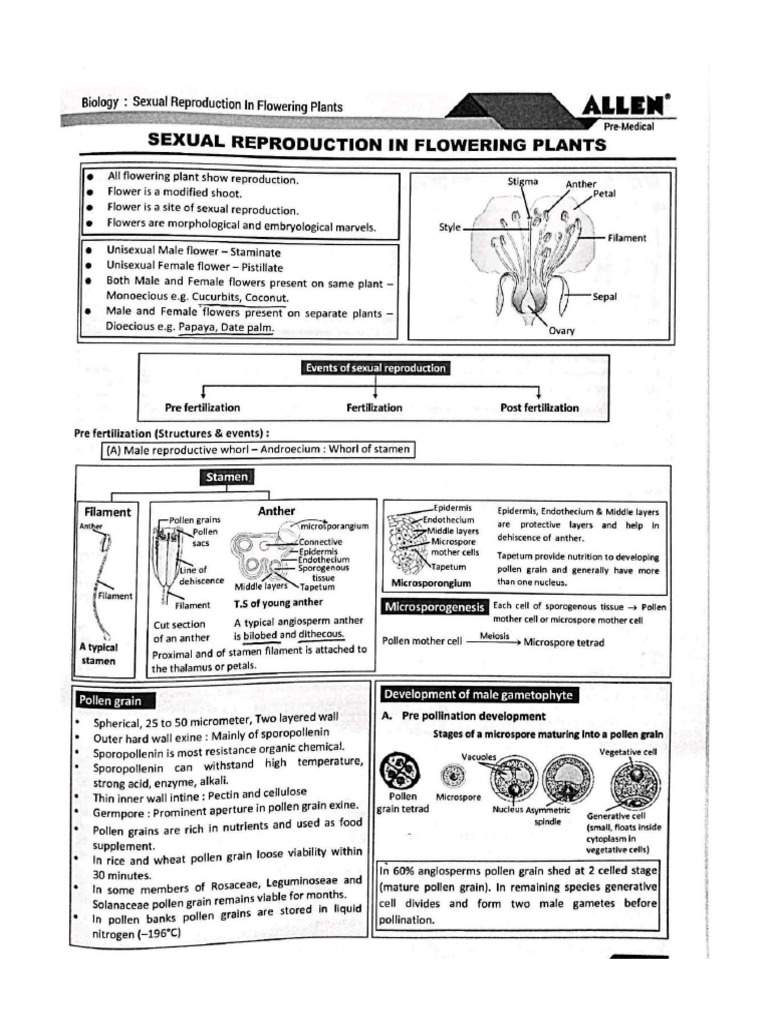 12 TH Full Bio Allen | PDF